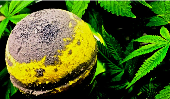 Les bombes de bain CBD vous font-elles haut