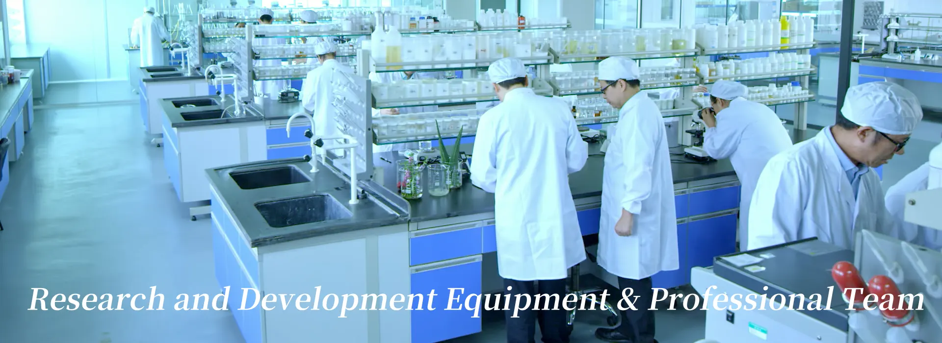 Formulation Development